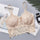2019 Women Sexy Lingerie Lace Floral Bralette Bra Tank Camis Underwear Lace Bra Crop Tops Brassiere