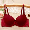 2019 Clothing women's underwear  sexy bra ladies Sexy Lace Push Up Bras Tank