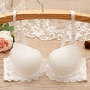 2019 Clothing women's underwear  sexy bra ladies Sexy Lace Push Up Bras Tank