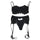 Fashion Sexy Women Bra Set 3Pcs Lace Sexy Lingerie Straps Bra Panty